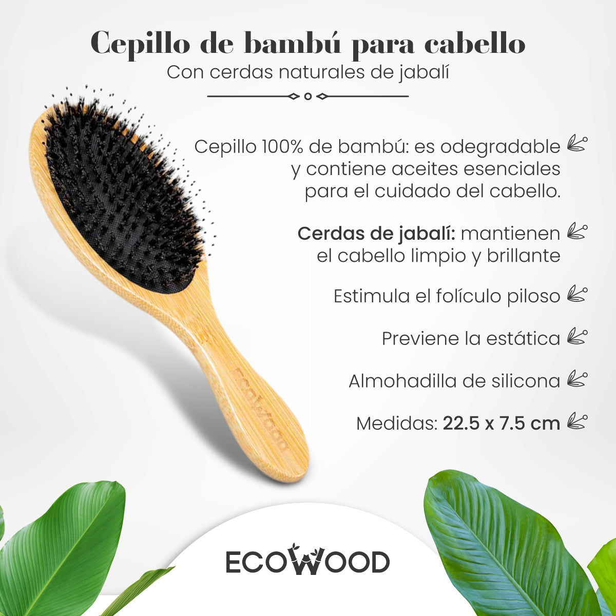 Ecowood Cepillo Cabello Cuadrado Grande Con Cerdas De Jabalí